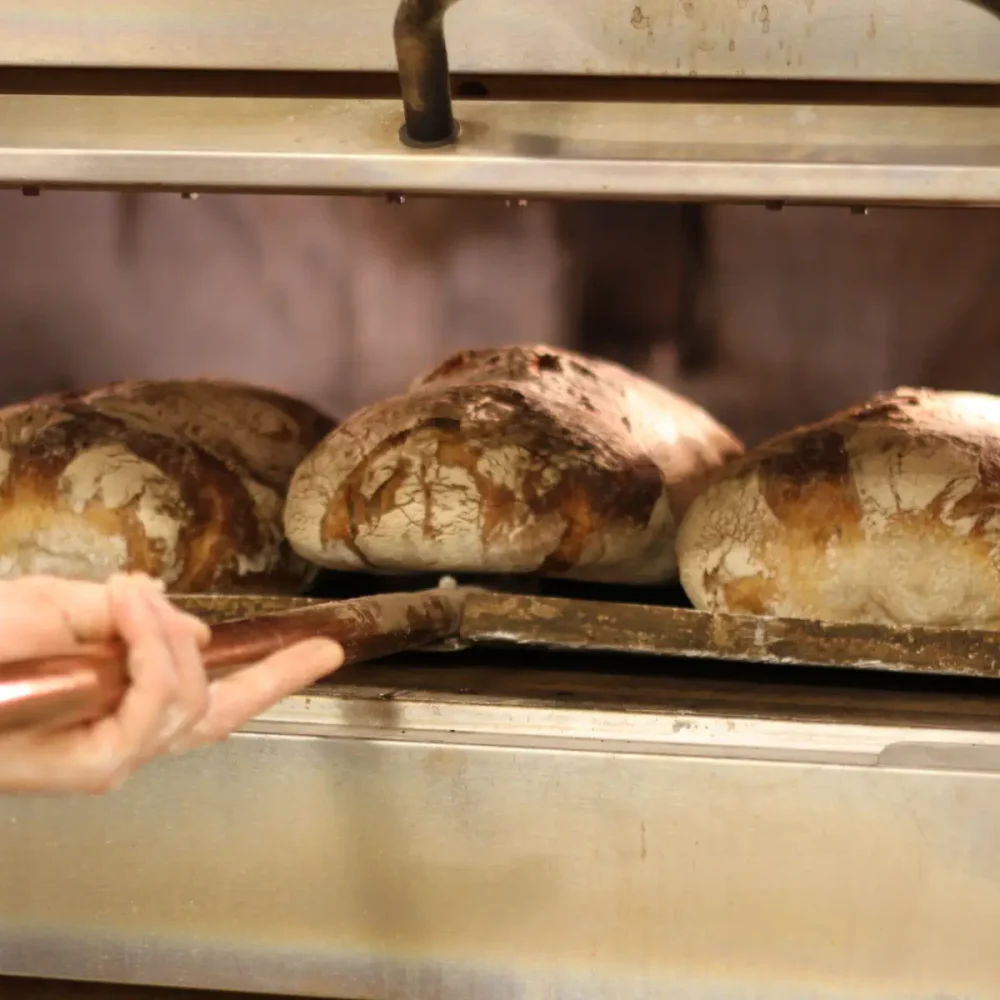 banner-brodernas-family-10