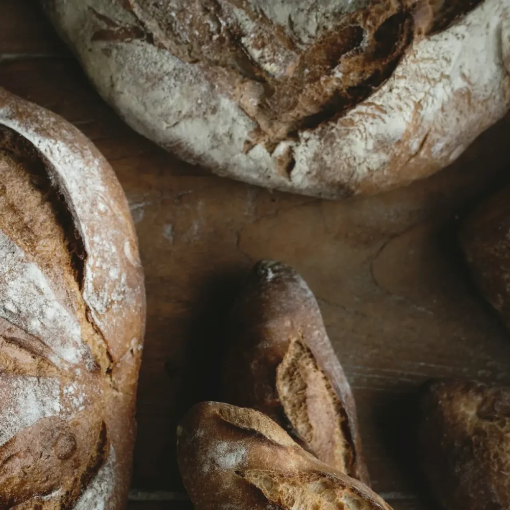 banner-brodernas-family-4