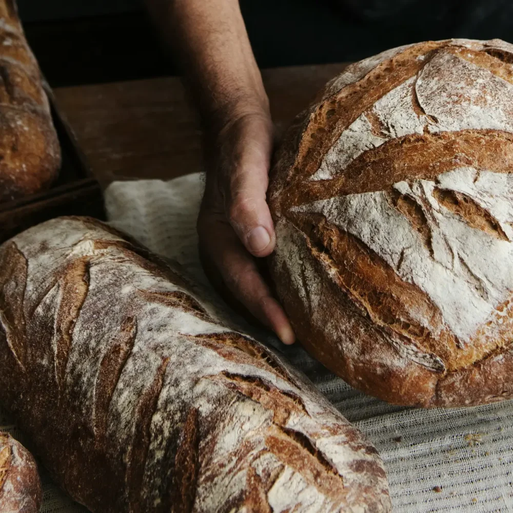 banner-brodernas-family-6