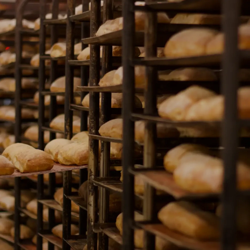 banner-brodernas-family-9